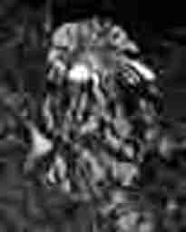 Thistlee Keeper, 140126, 5183×4146px, 17×13in, 439×351㎜ print