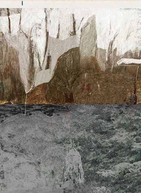 07-we-can't-take-home-the-underbrush