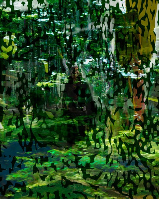 Brush Work, 110127, 20000×16000px, 60×48″ / 1525×1220㎜ print