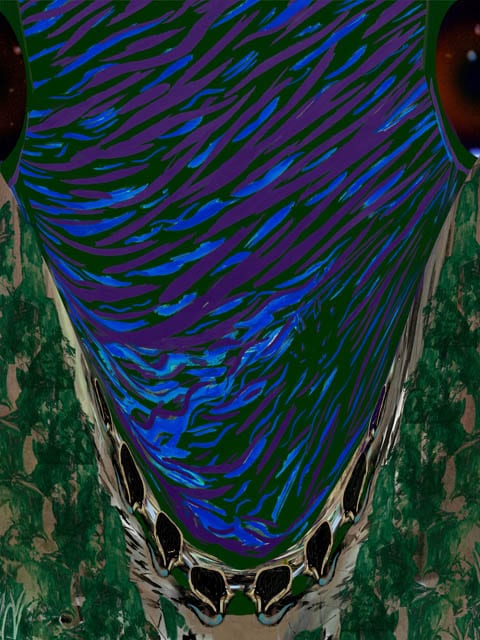 Earlier, 110909, 16¾×12⅗″″ / 427×320㎜ print