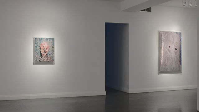 Simulators, Angell Gallery, Toronto, 2016