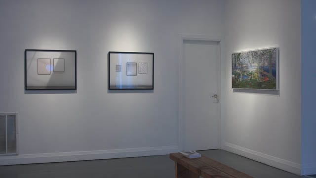 Simulators, Angell Gallery, Toronto, 2016