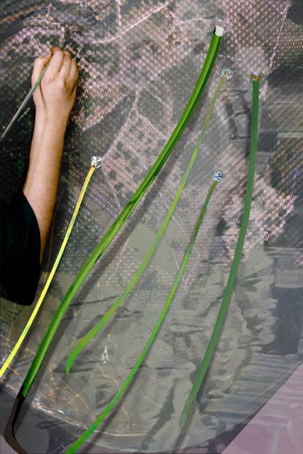 Seeding, 120608, 8942×5961px, 21×14″ / 534×356㎜ print