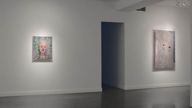 (Adobe Mask, 120327, 27⅞×22½″″ / 708×571㎜ print) (Daily, 120317, 57½×40″ / 1462×1016㎜ print)