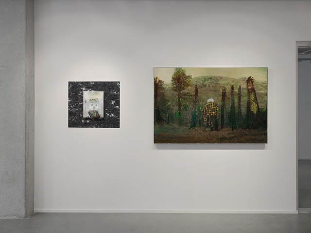 Beyond The Fall, Galerie BAC, Montréal 2012