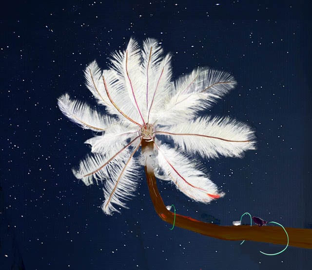 Feather Feeder, 130127, 13000×15000px, 36×42″ / 925×1067㎜ print