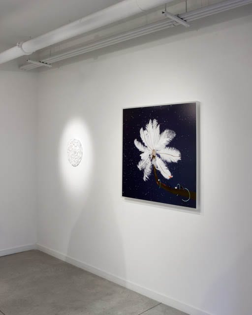 Dry Pixels and Wet Molecules, O'Born Contemporary, Toronto 2013