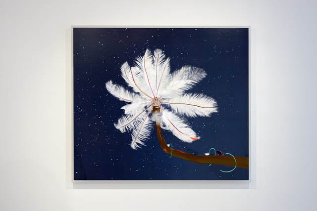 Dry Pixels and Wet Molecules, O'Born Contemporary, Toronto 2013