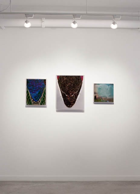 Translation, O'Born Contemporary