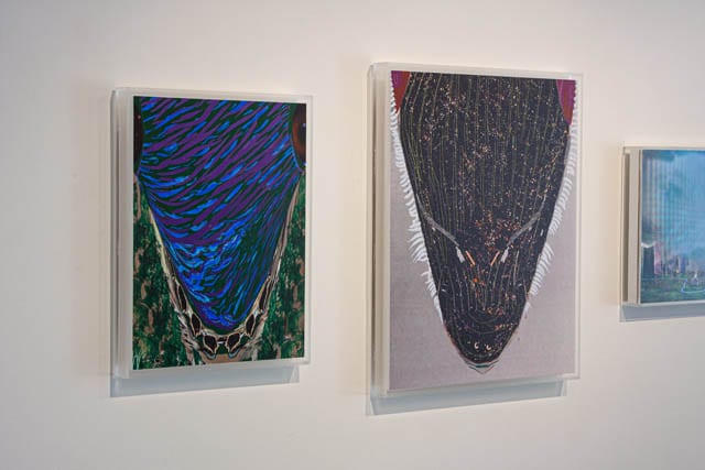 Translation, O'Born Contemporary