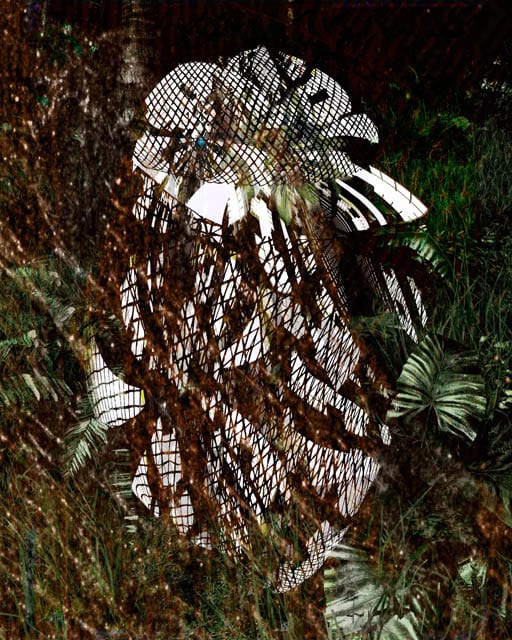 Thistlee Keeper, 140126, 5183×4146px, 17×13in, 439×351㎜ print