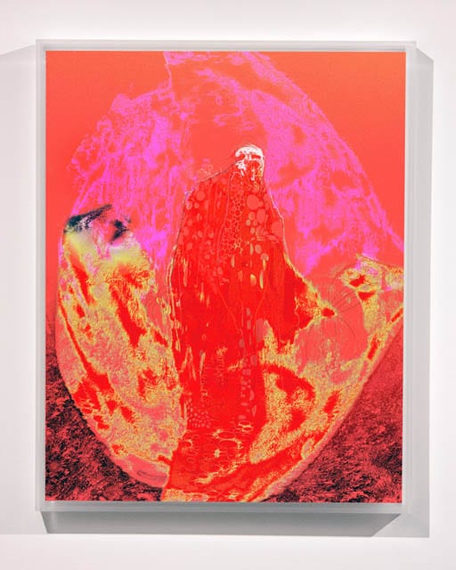 Red Lemon, 141216, 30×24″ / 762×610㎜ print