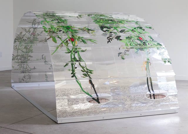 1, 7, and 6000 in-situ at O'Born Contemporary