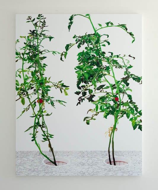 VII Alex Fischer, 2015, 60×48″ print