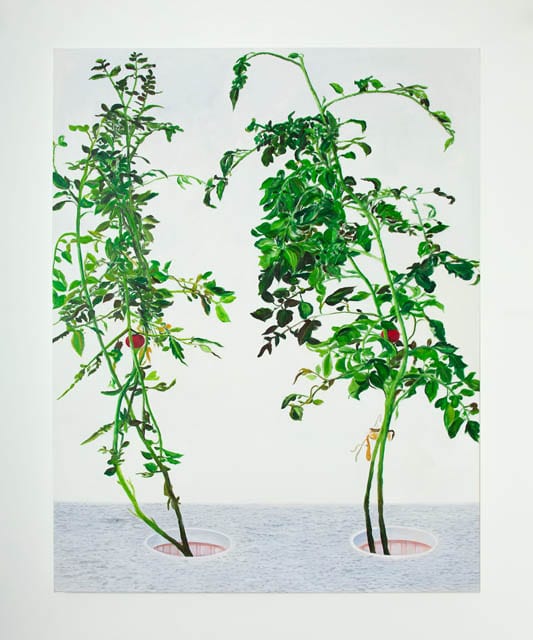 VII 冯声贵 Feng Shui Gui, 2015, 60×48″ oil on canvas