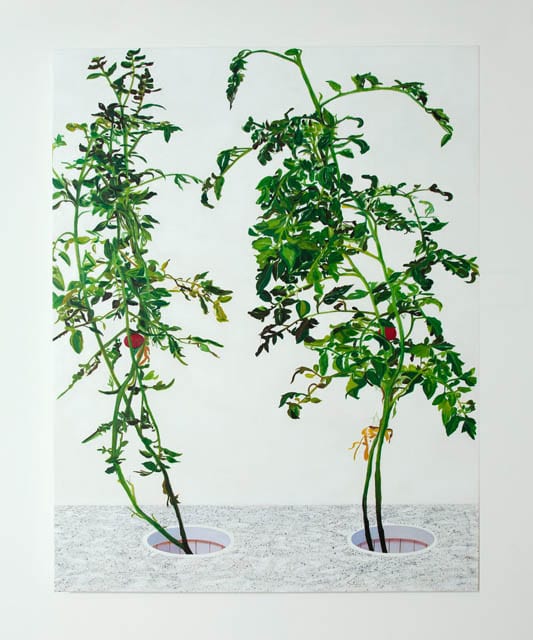 VII 叶安 Ye An, 2015, 60×48″ oil on canvas