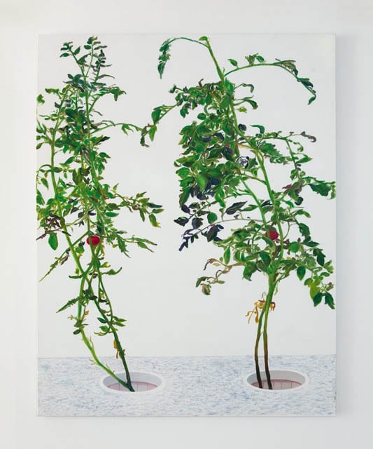 VII 林建 Lin Jian, 2015, 60×48″ oil on canvas