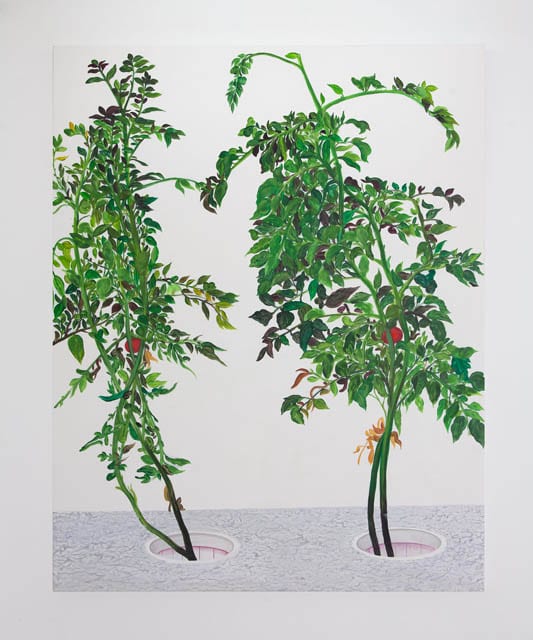 VII 陈山 Chen Shan, 2015, 60×48″ oil on canvas