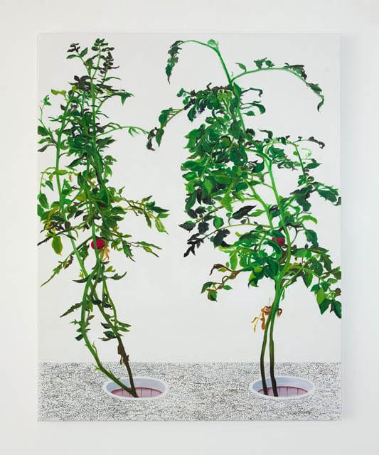 VII 陈文波 Chen Wen Bo, 2015, 60×48″ oil on canvas