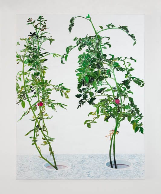 VII 陈秋林 Chen Qiu Lin, 2015, 60×48″ oil on canvas