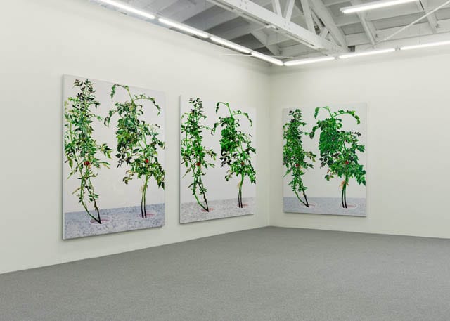 1, 7, and 6000 in-situ at O'Born Contemporary