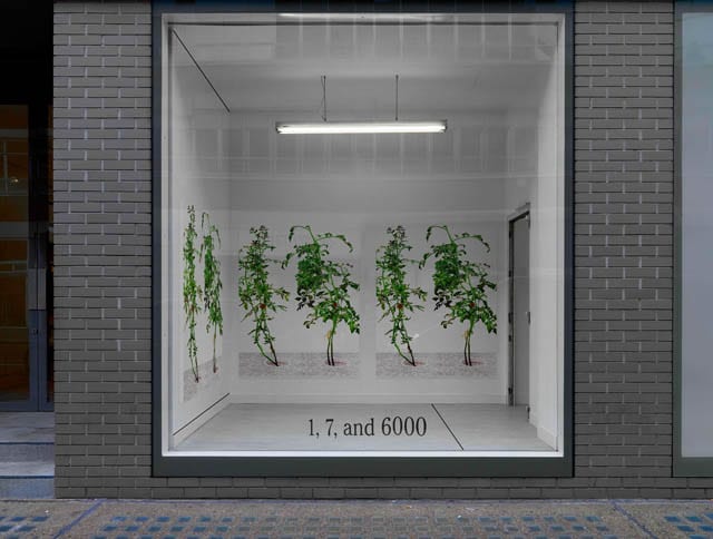 1, 7, and 6000, acrylic panels #64, 65