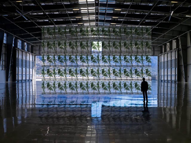 1, 7, and 6000, acrylic panels #64, 65