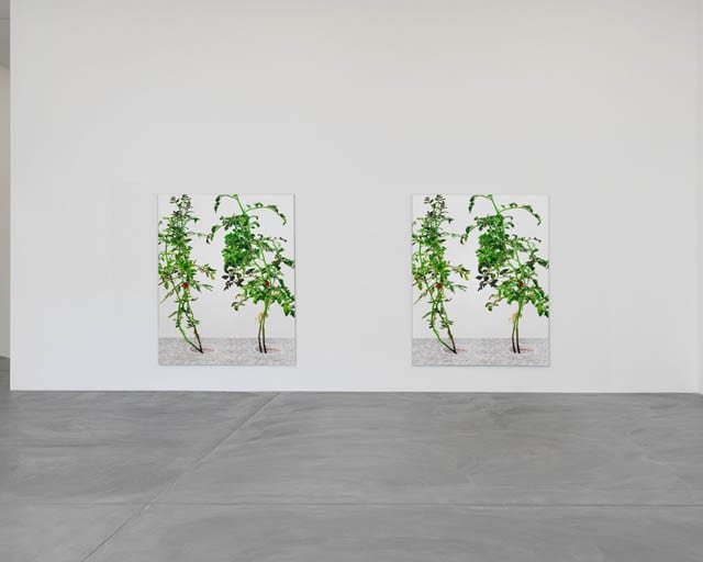 1, 7, and 6000 concept sketch