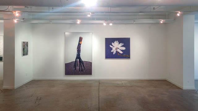 The Collective, O'Born Contemporary
