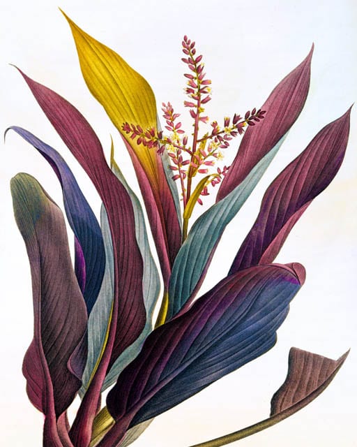 untitled, 170401, 3895×3116px, 11×8″ / 276×224㎜ print