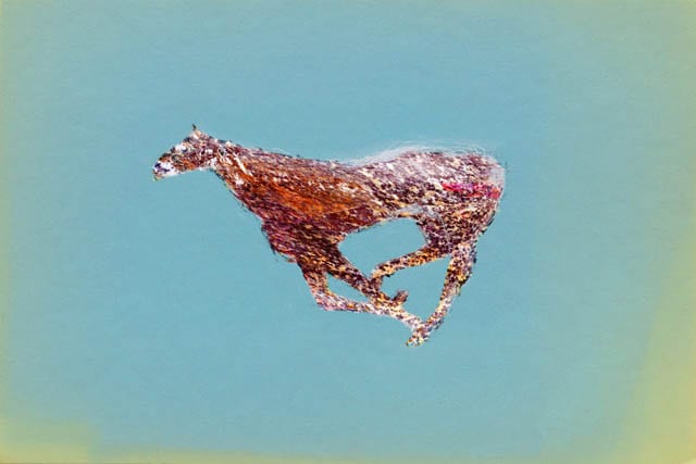 Horse Misunderstanding, 180226, 10666×16000px, 14×21″ / 357×535㎜ print