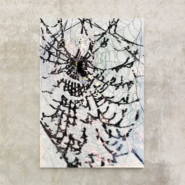 Dark Web, 181113, 30×20″ / 762×508㎜ print