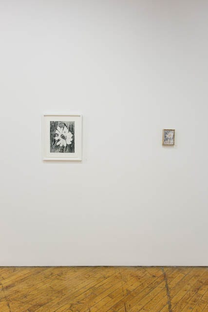 Bending Towards the Sun</em>, YYZ, Toronto, Canada 2019