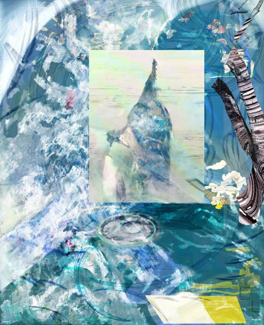 Alex Fischer, 210501 100 7 Room 15 7