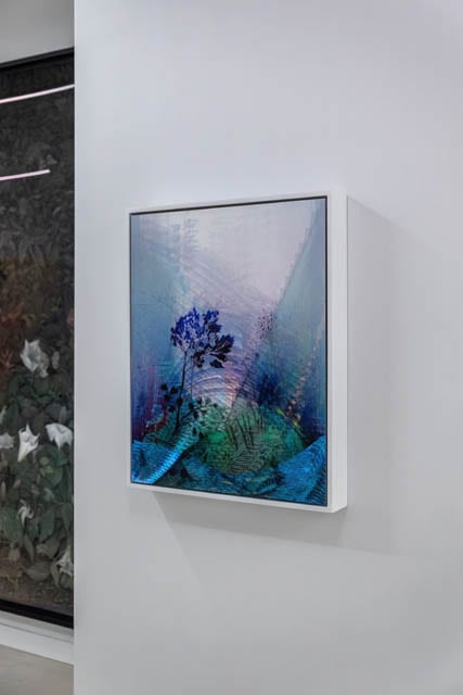 Alex Fischer, Pale Rythem, 2022—170401, 22½×18in matte giclée on aluminum